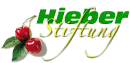 Logo der Hieber Stiftung